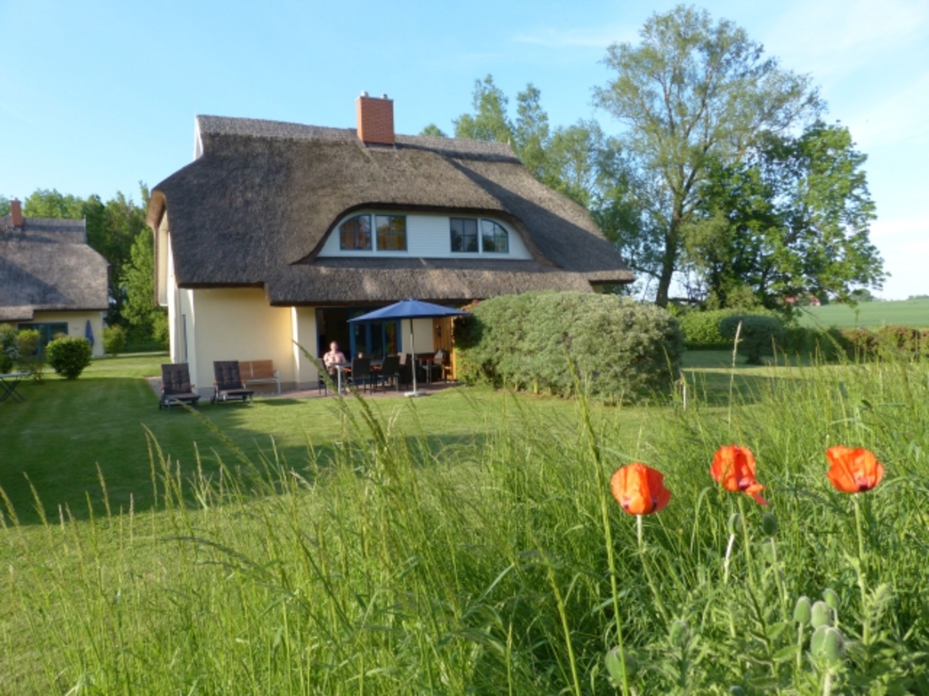 Reetdachhaus Eibe 1