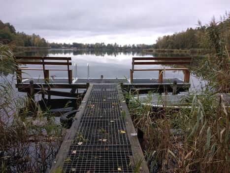 Blick zum Möhlauer See