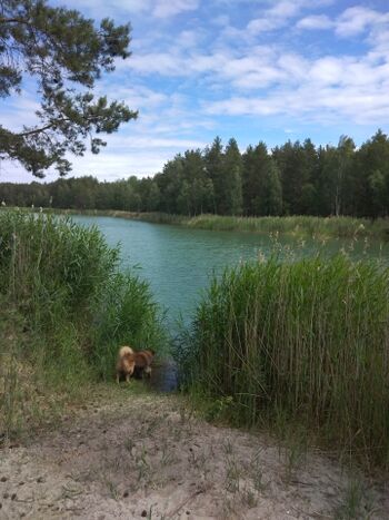 Roter See in Burgkemnitz