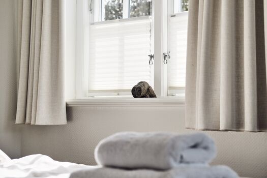 Bettwäsche und Handtücher gehören bei uns dazu!