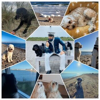 Einige unserer tierisch netten Gäste der letzen Monate.Schaut Euch gern unsere Bewertungen an.