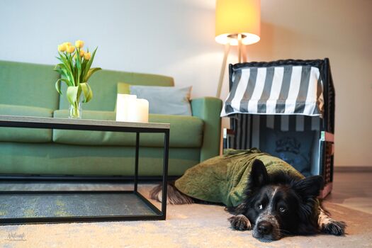 Unser Hundestrandkorb