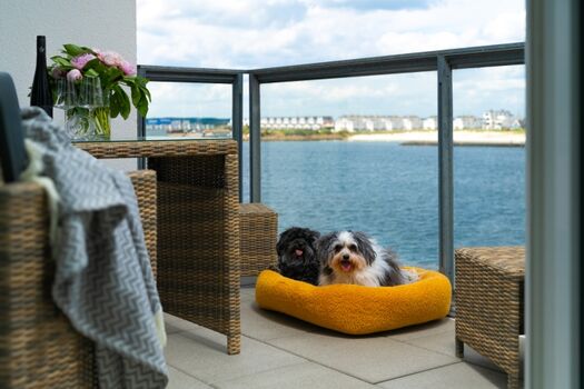 Unser Balkon mit Panorama Wasserblick wartet ab, es kommt noch eine spektakulärere Aussicht.