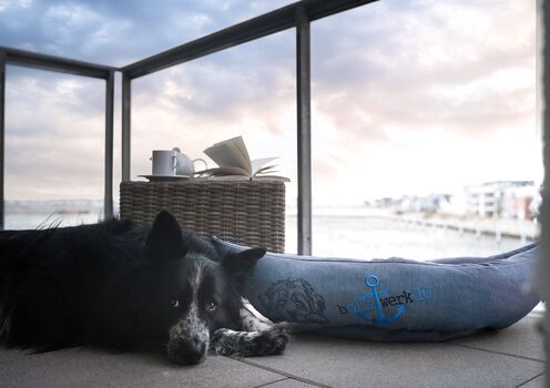 Unser Balkon mit Boot als Liegeplatz für "Bollis"