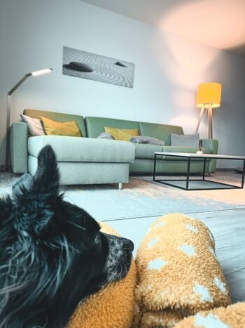 Und der Blick Eures Hundes ins Wohzimmer.