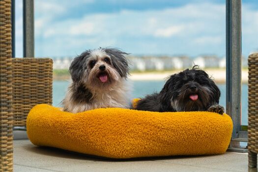 hat Euch unser kleiner Rundgang gefallen, dann kommen hier noch ein paar extra Bilder. (Die Kissen sind übrigens in der Wohnung)