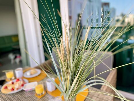 wieder auf dem Balkon 