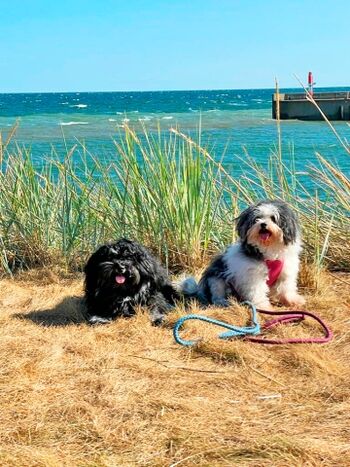 direkt unter unserem Balkon