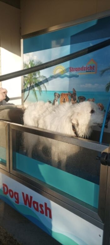 Waschanlage für Hunde