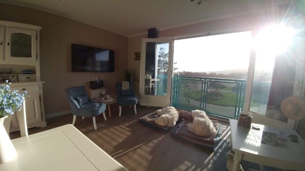 Auch Ihre Fellnase wird das Plätzchen lieben