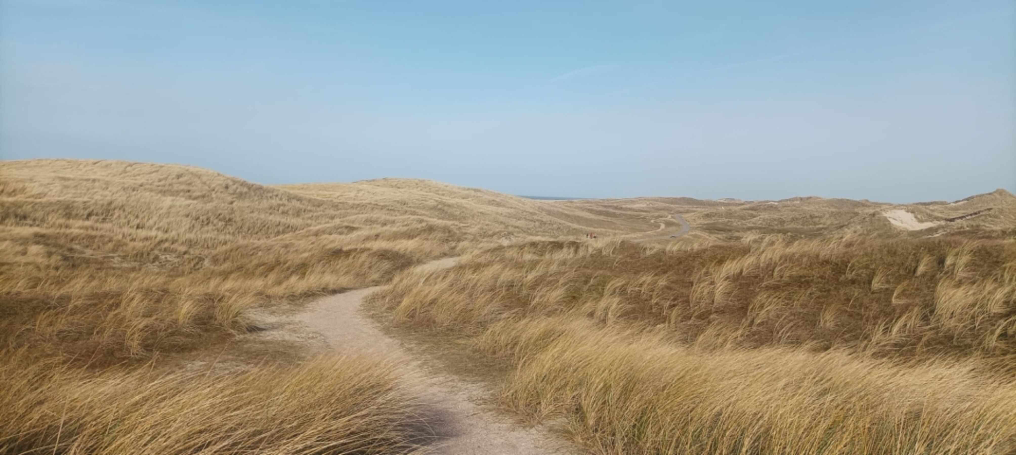 Dünenlandschaft