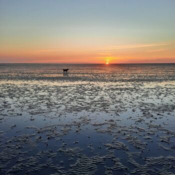 Dorum-Neufeld  mit Freilaufstrand