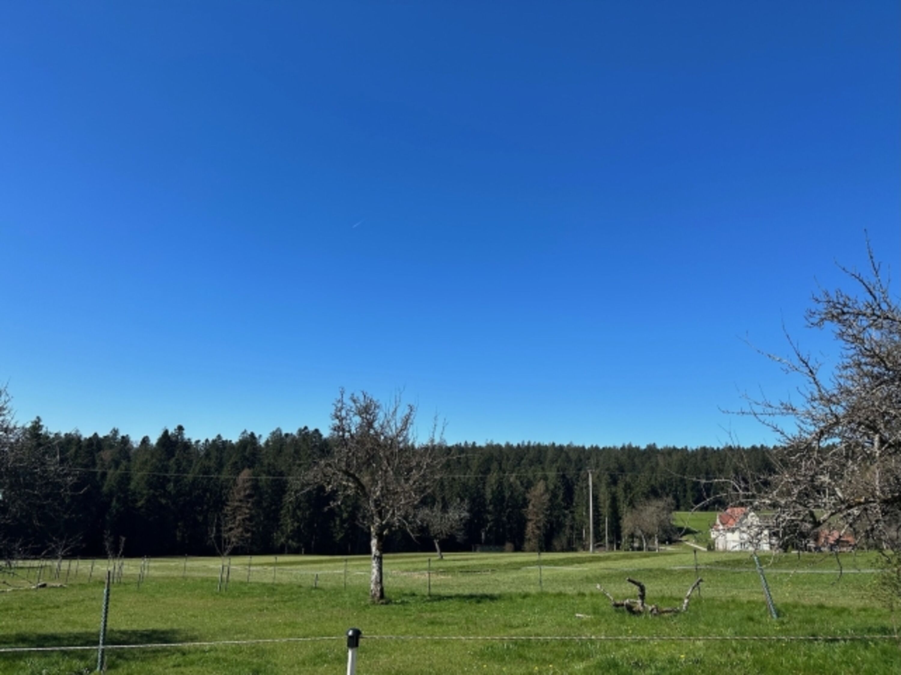 Ausblick vom Balkon