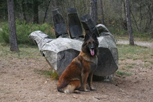 Ledro Landart - schöner Wanderweg