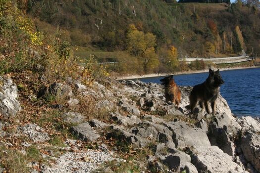 Hunde herzlich willkommen
