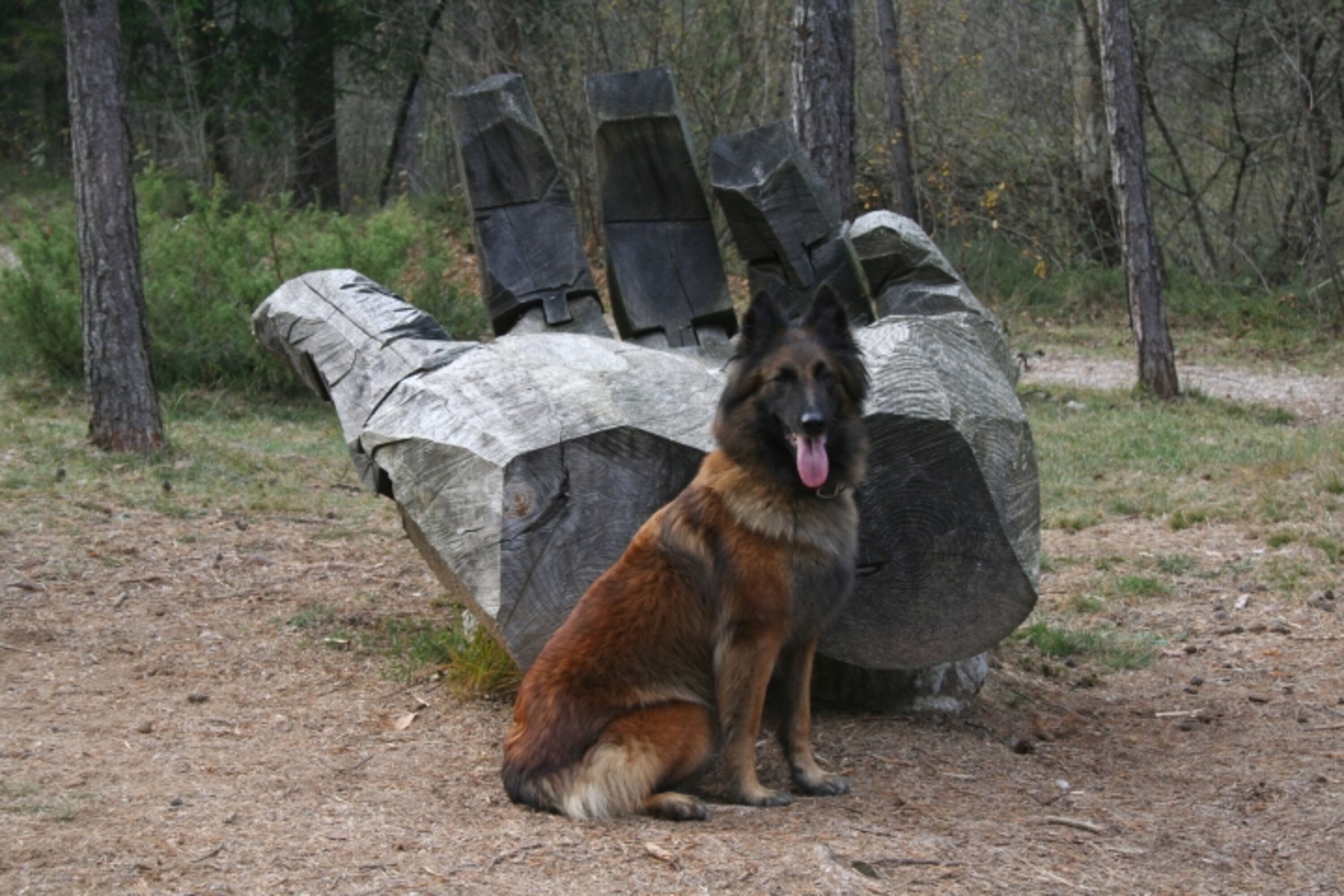 Ledro Landart - schöner Wanderweg