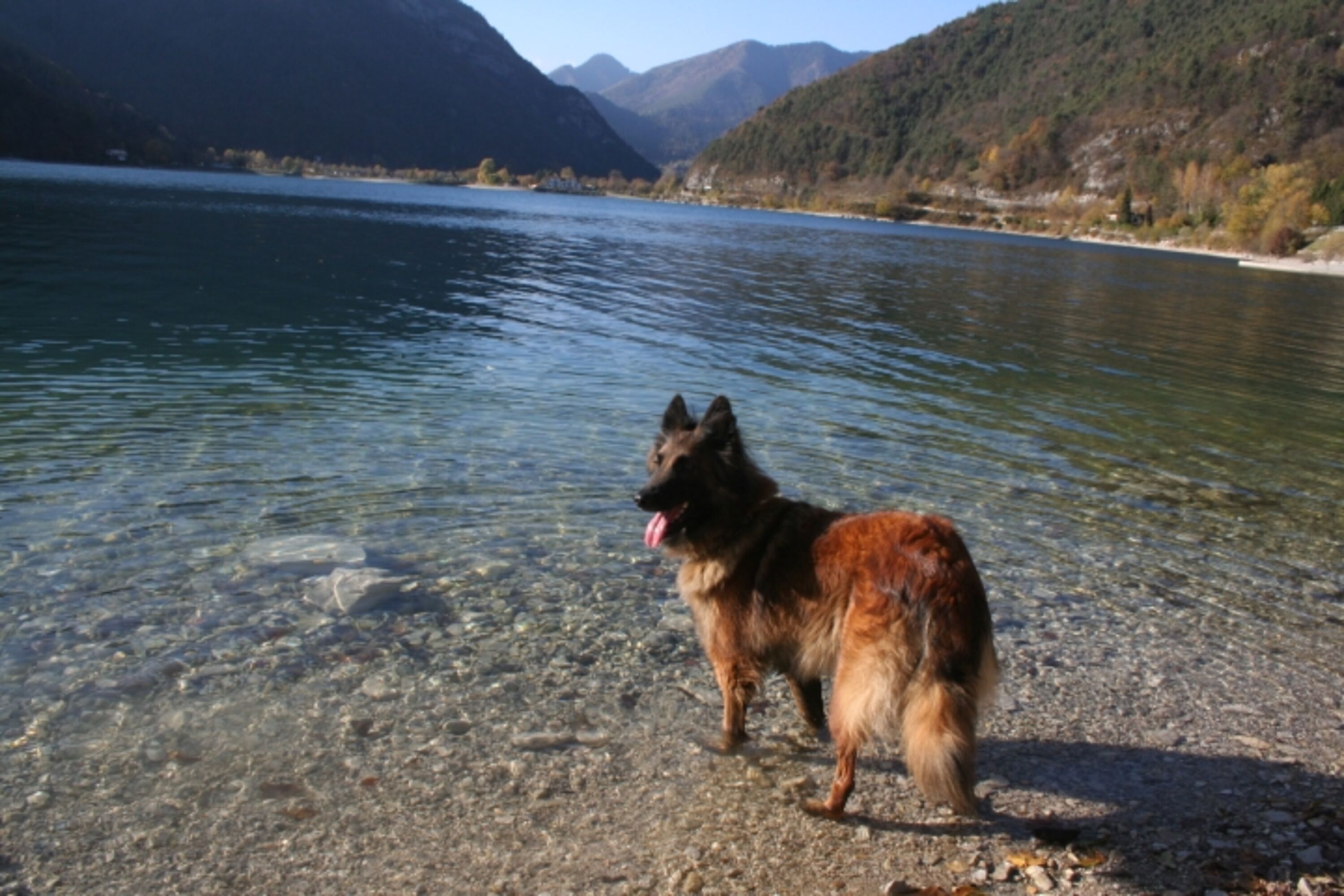 Der Ledrosee