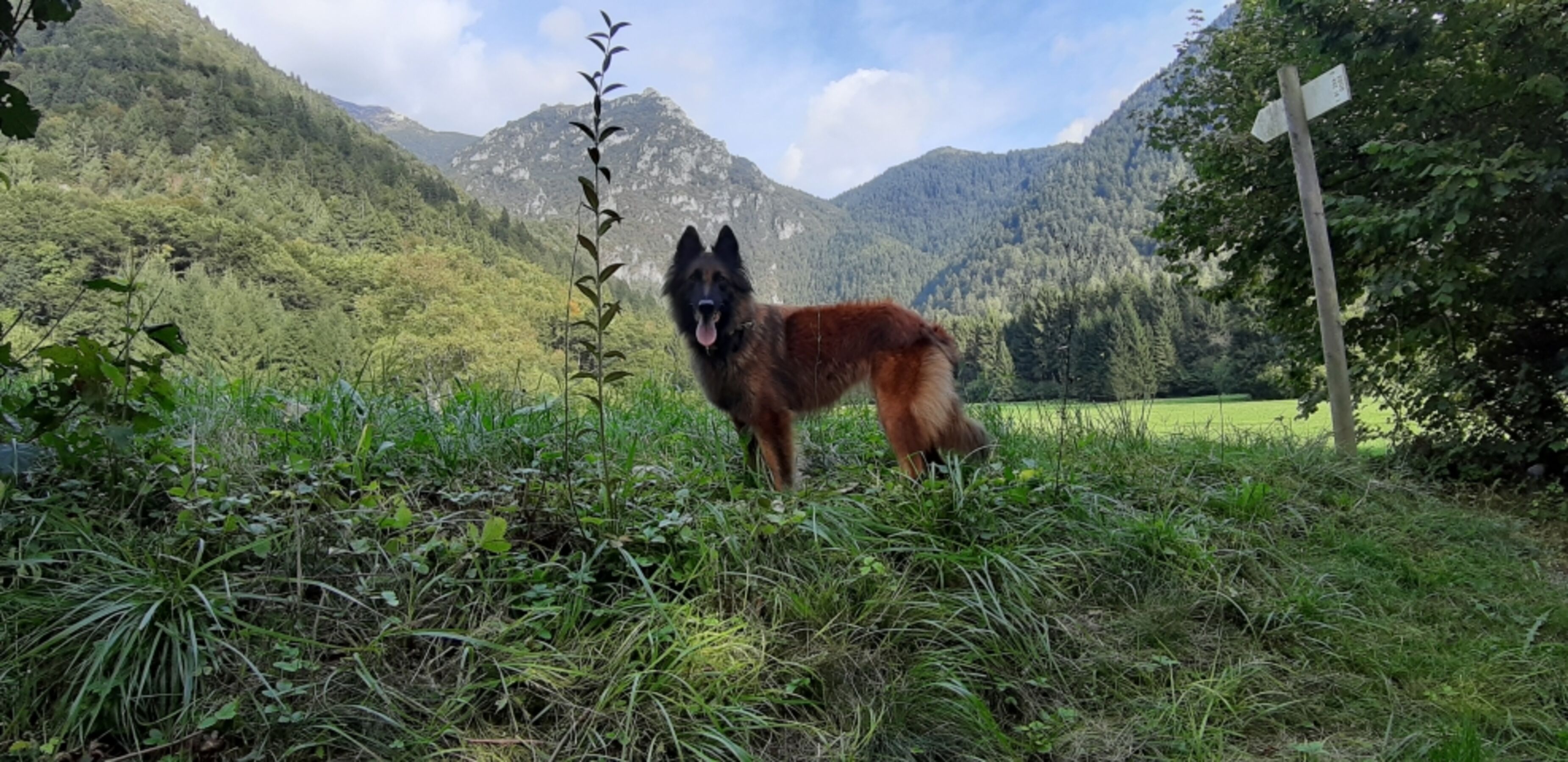 Val Concei 
