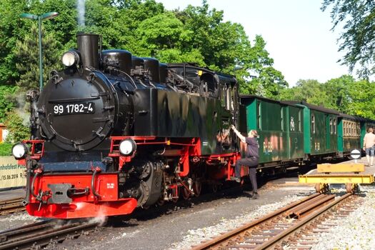 Der "Rasende Roland" im Süden Rügens