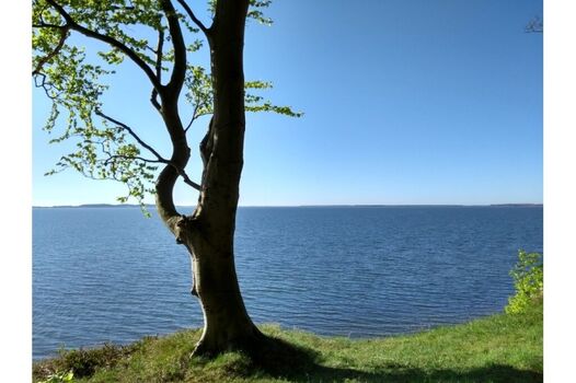 Der Große Jasmunder Bodden