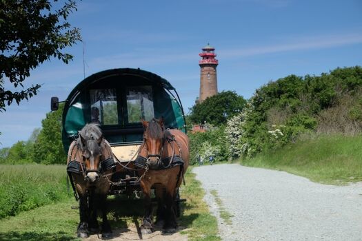 Pferdekutsche beim nahen Kap Arkona