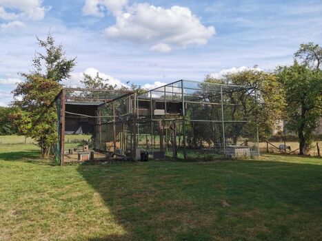 Alte Greifvogelvoliere im Garten