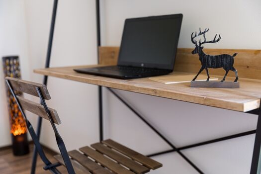 Arbeitsplatz im Katzenzimmer