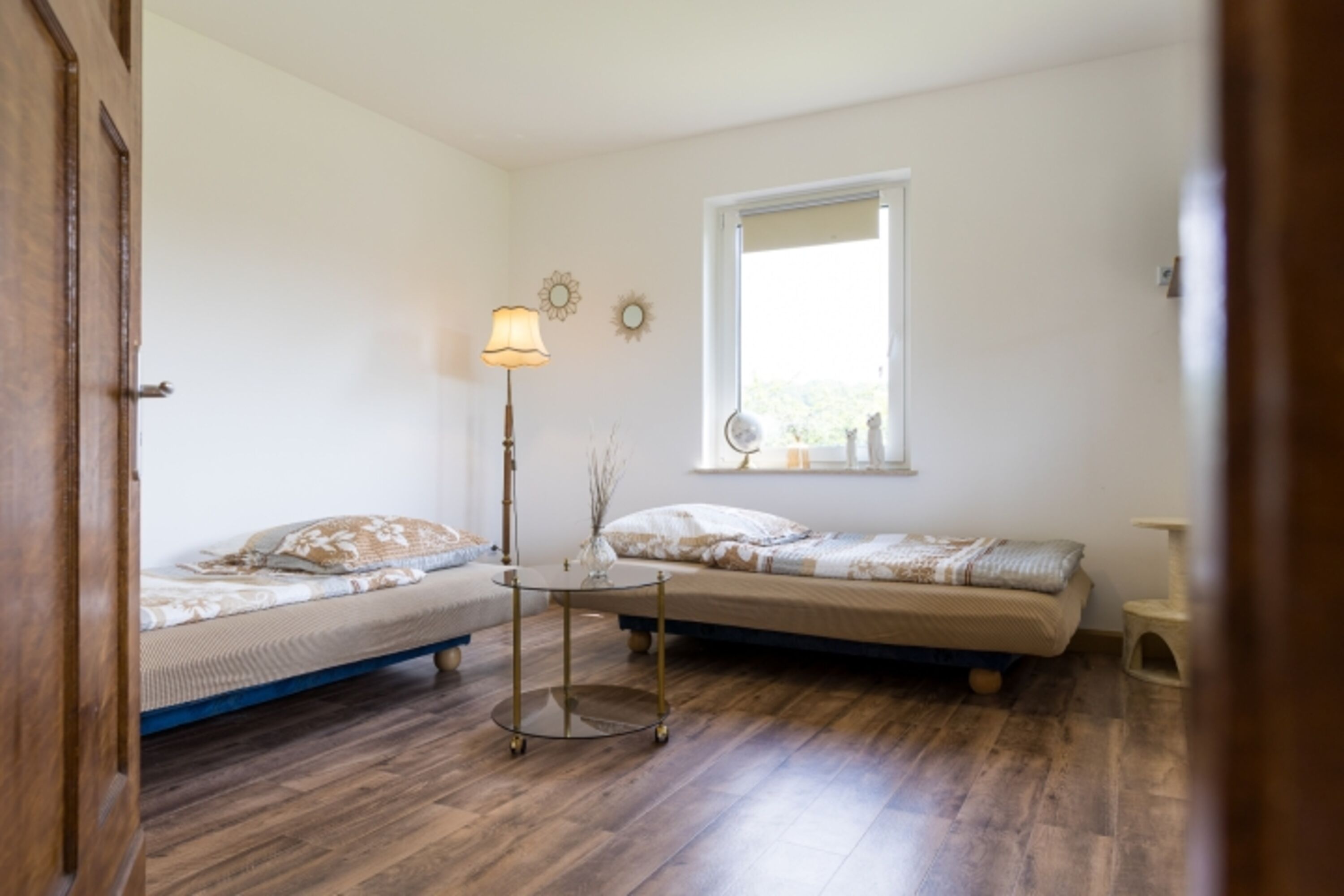 Blick ins Katzenzimmer