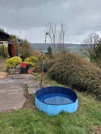 Hundedusche im Sommer