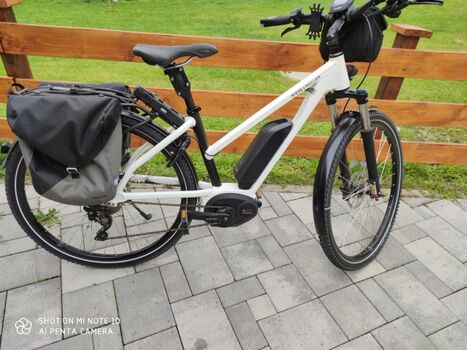 Damen eBike