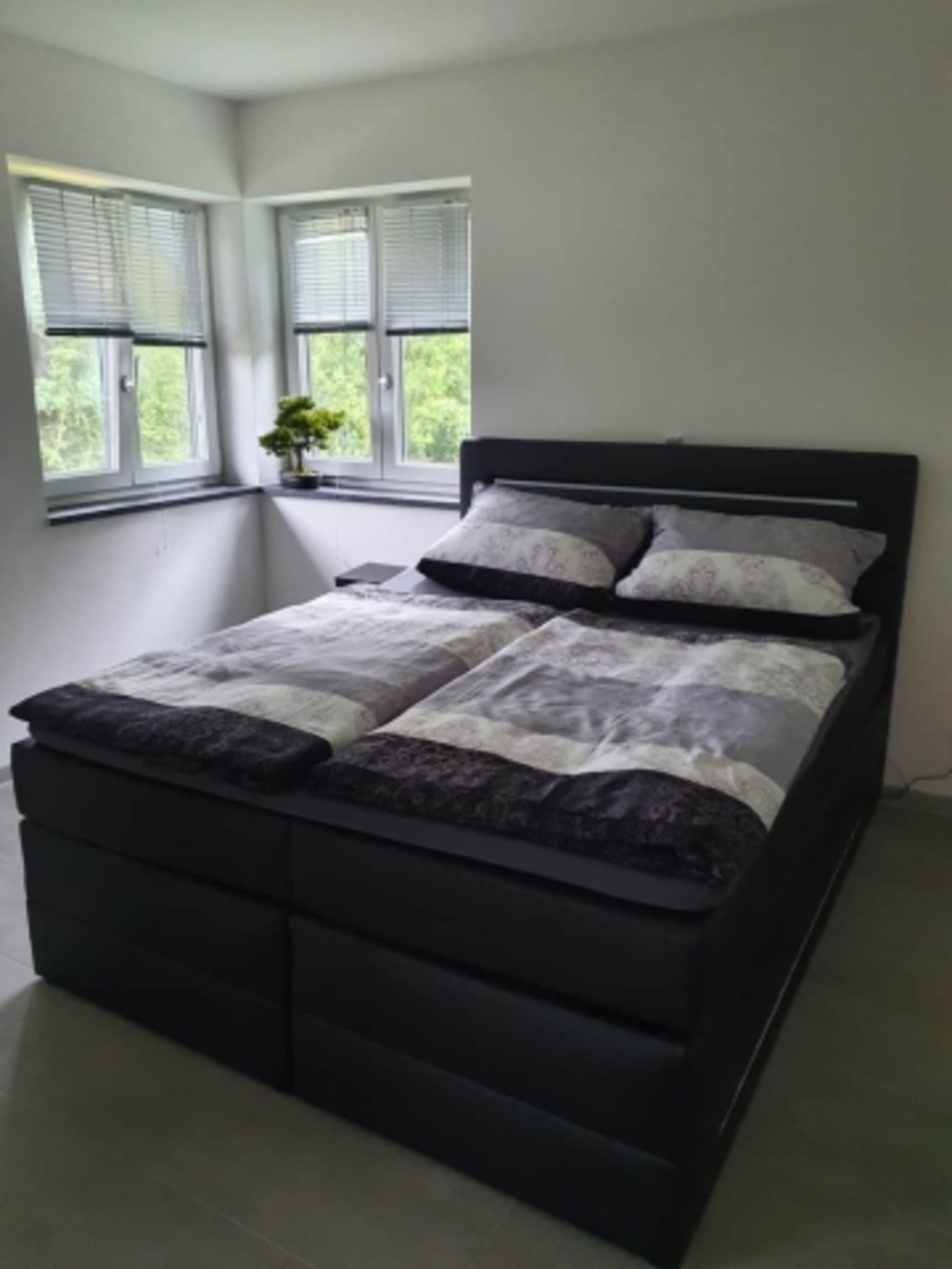 Bosspringbett