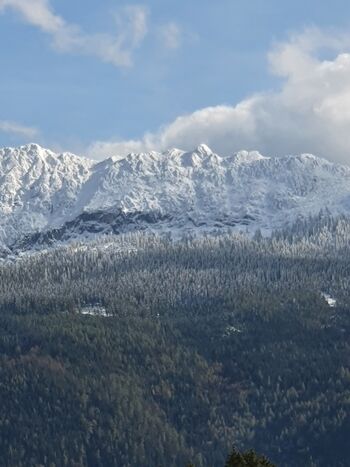 Blick vom Haus auf den verschneiten Grimming