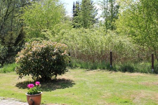 Garten (neuer, größerer Zaun ist vorhanden, Bilder folgen)