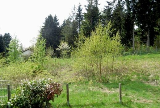 Blick aus dem Garten (neuer, größerer Zaun ist vorhanden, Bilder folgen)