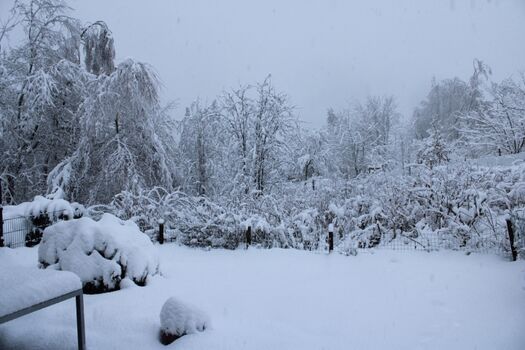 Garten Dezember 2022