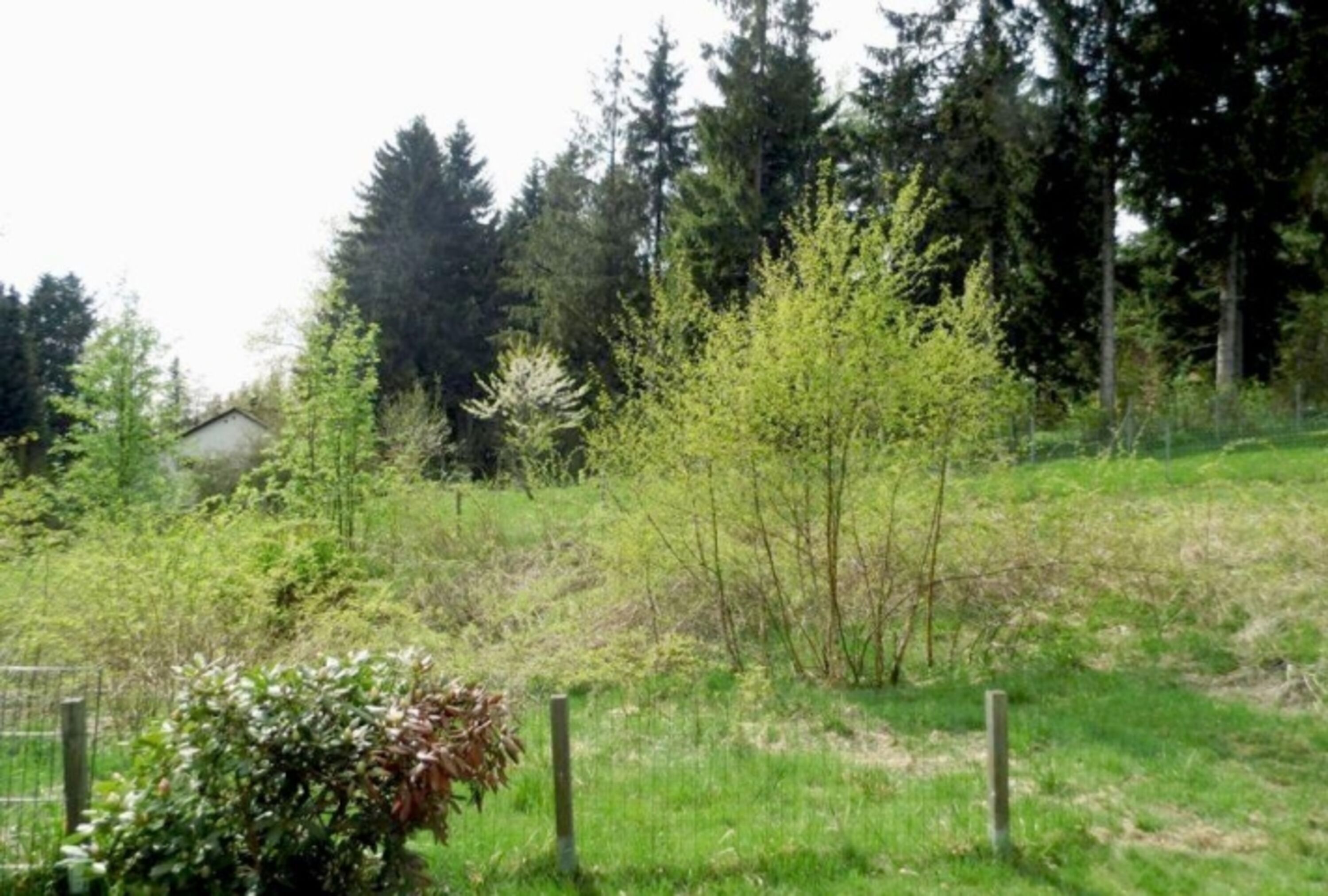 Blick aus dem Garten (neuer, größerer Zaun ist vorhanden, Bilder folgen)