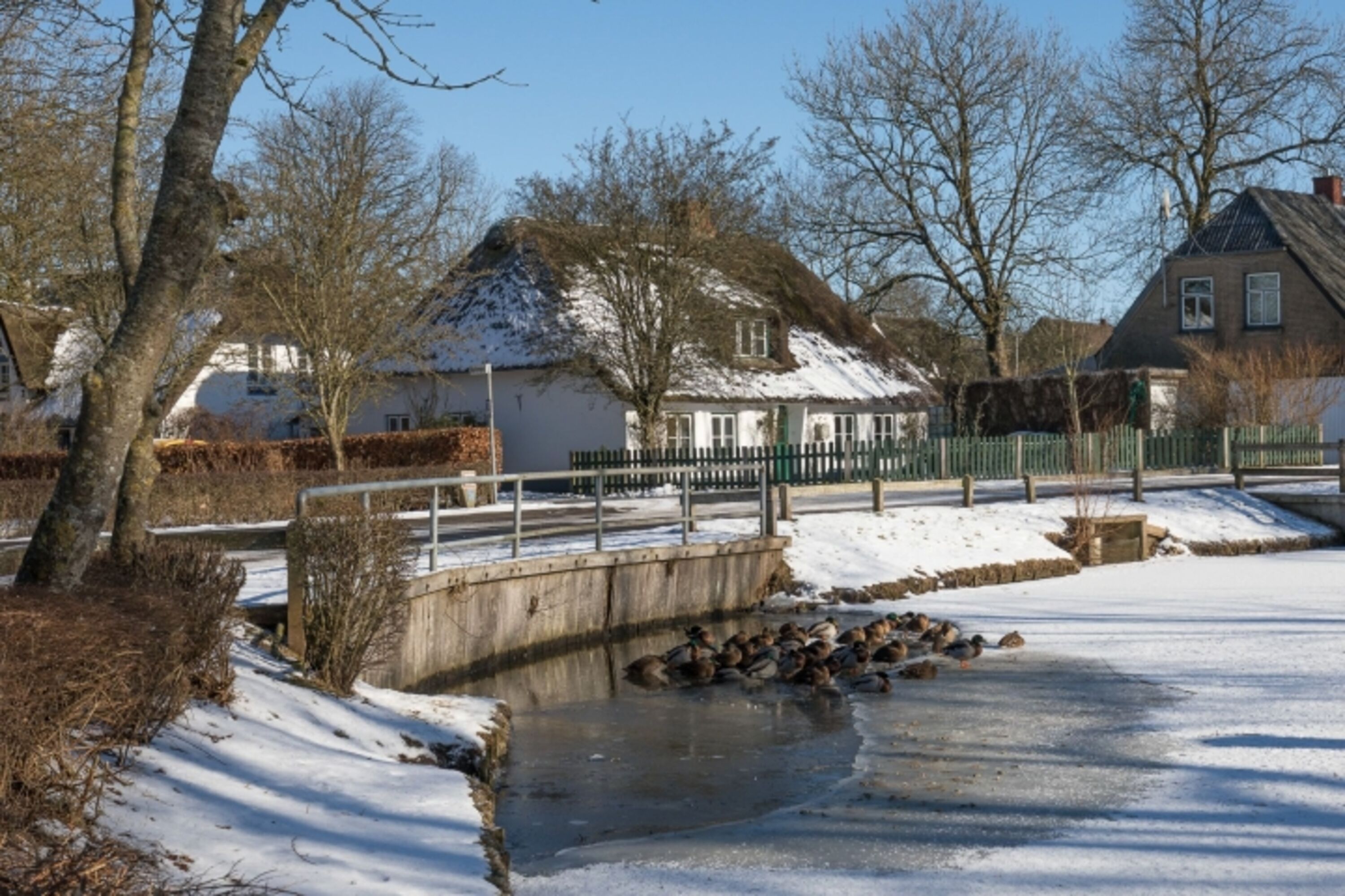 Ferien unter Reet - Winterliche Idylle 