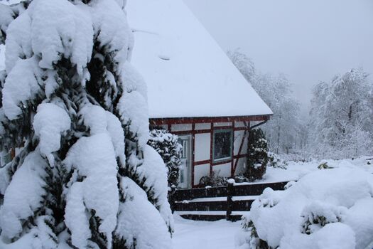 Winter Dezember 2022