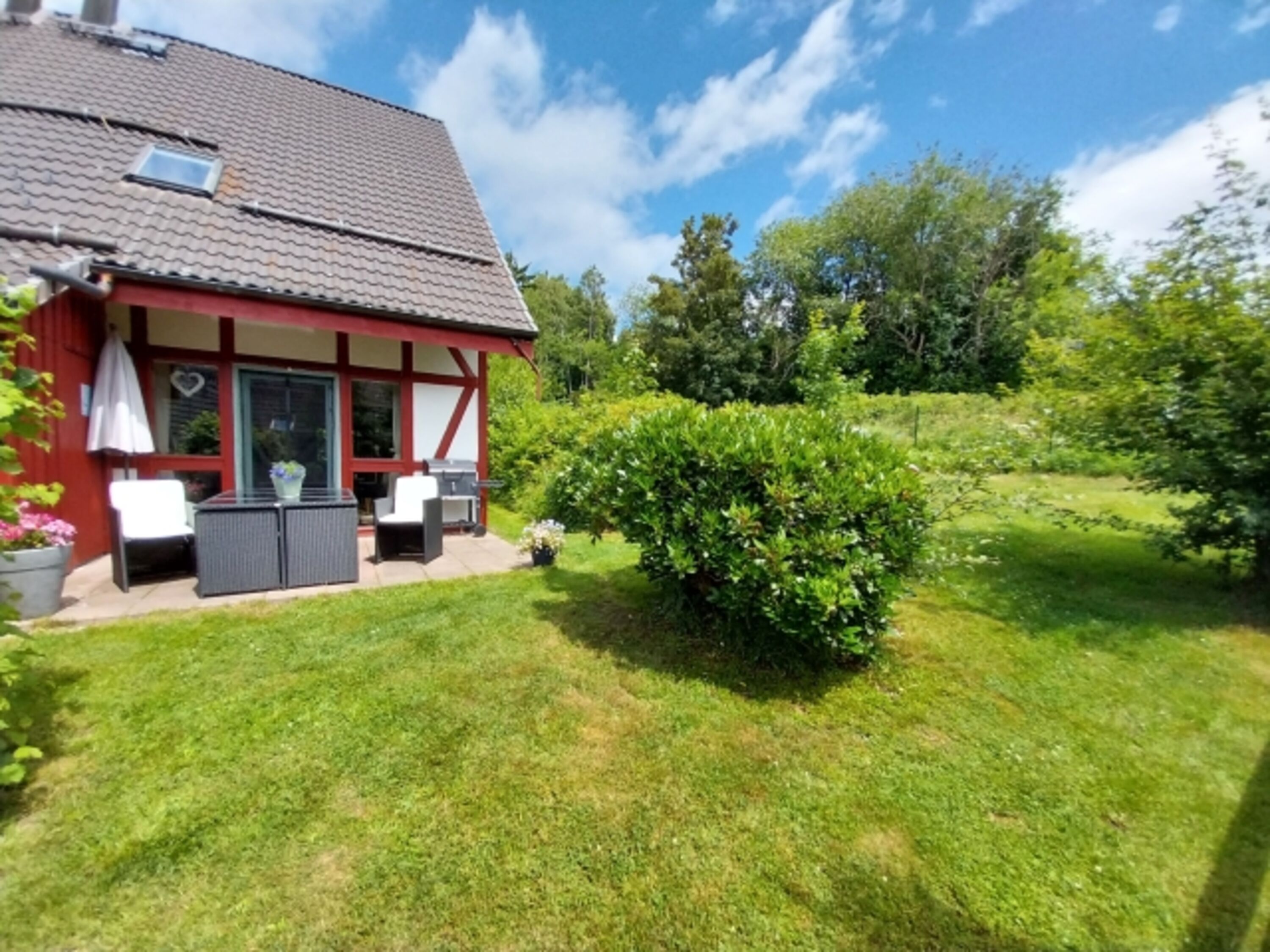 komplett, hundefreundlich eingezäunter Garten
