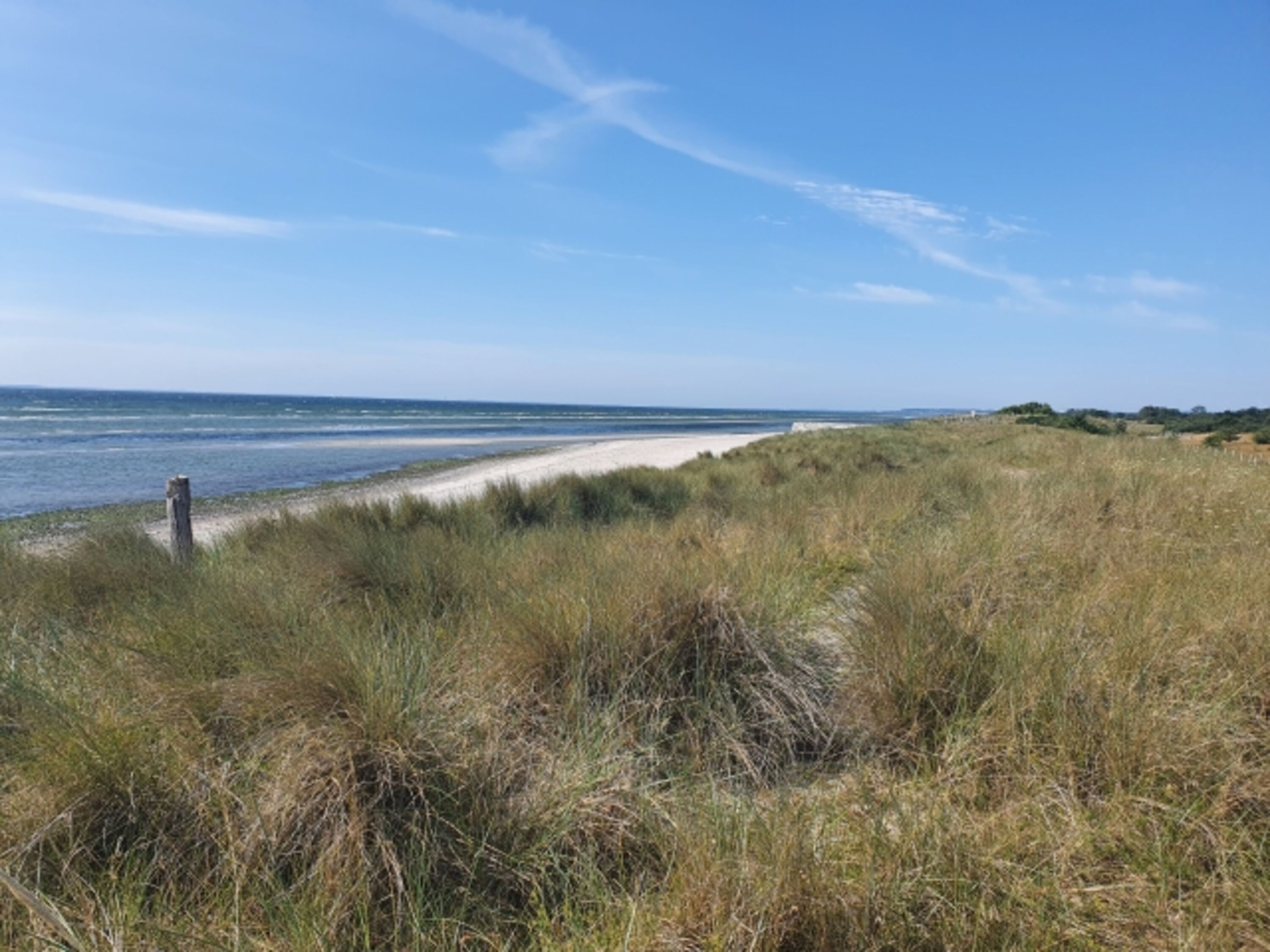 Hundestrand