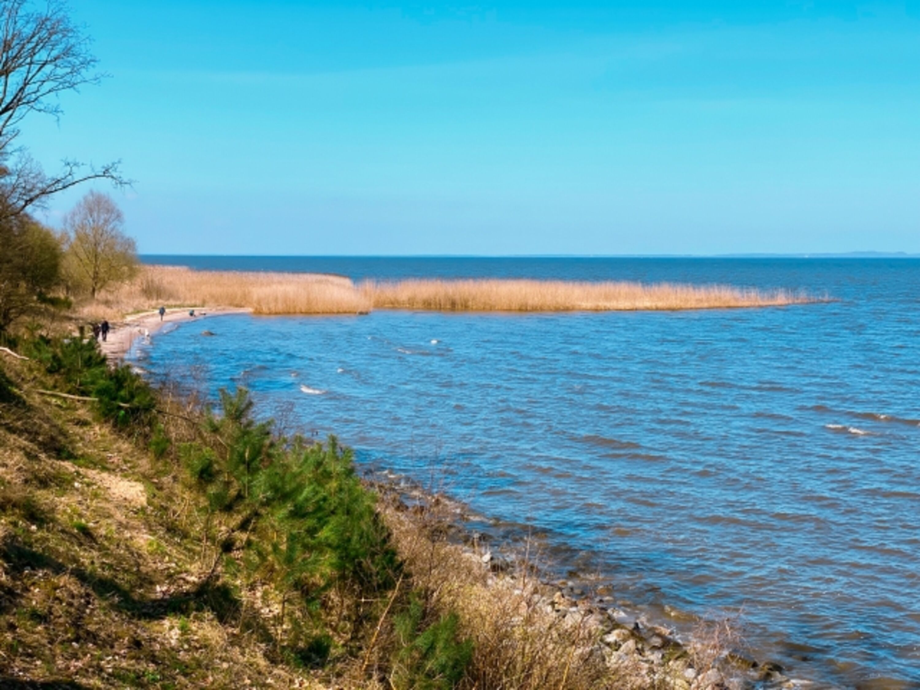 Strand am Stettiner Haff