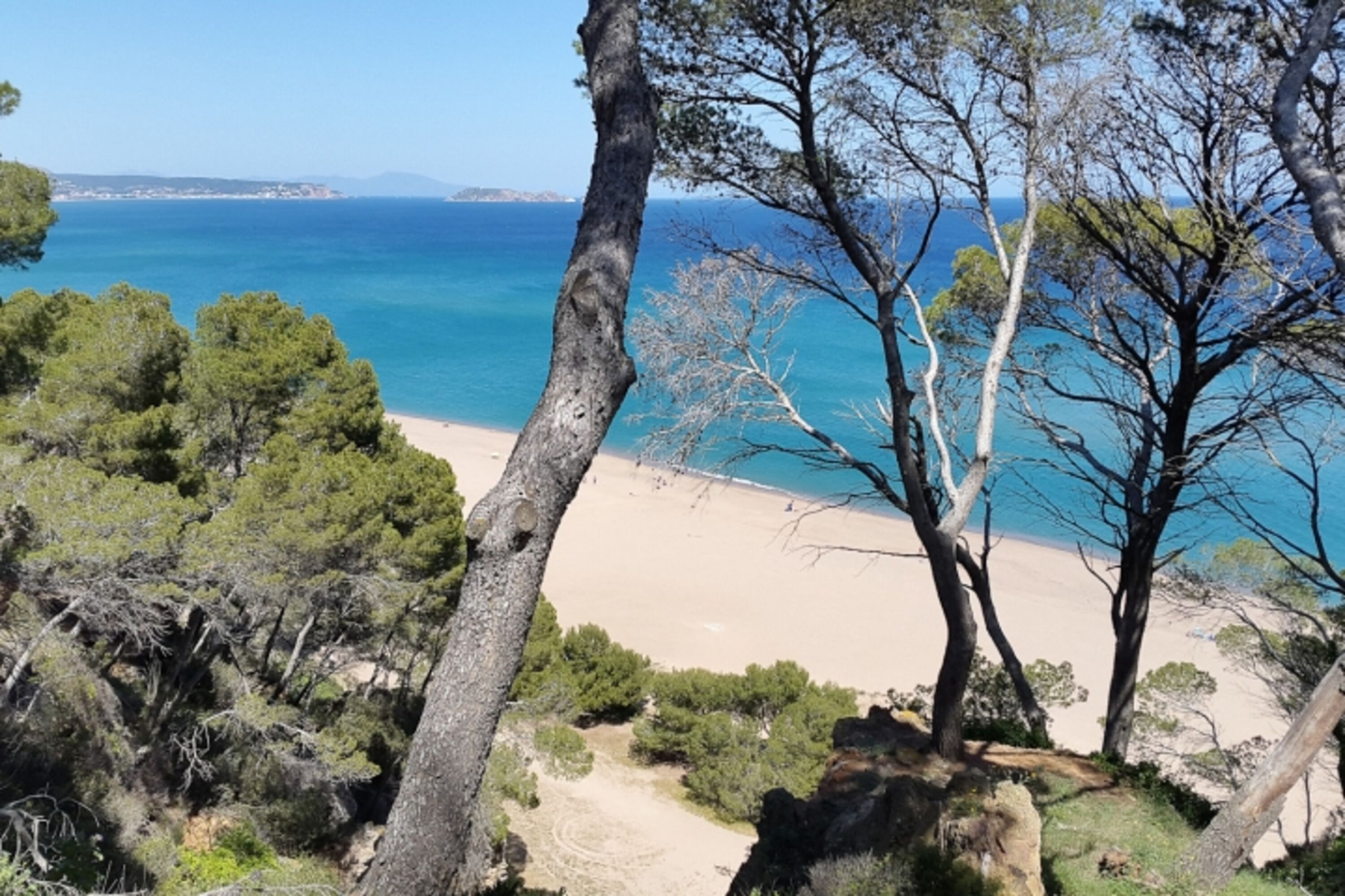 Der Strand von Pals
