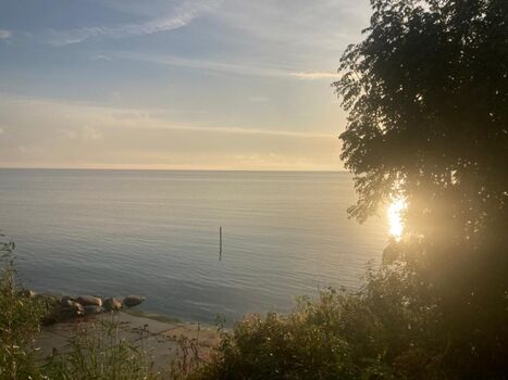 Sonnenaufgang am IJsselmeer