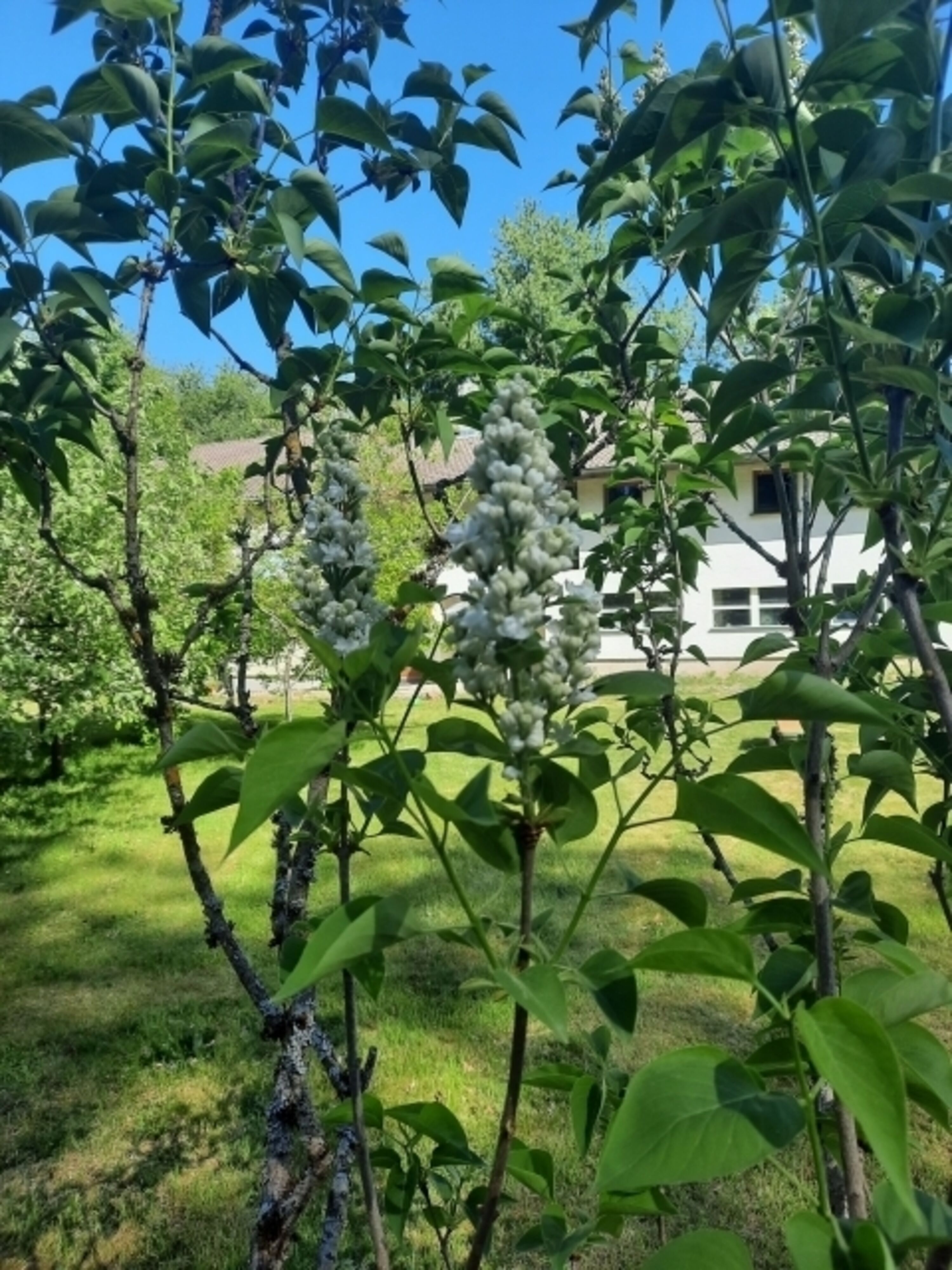 Bild 17