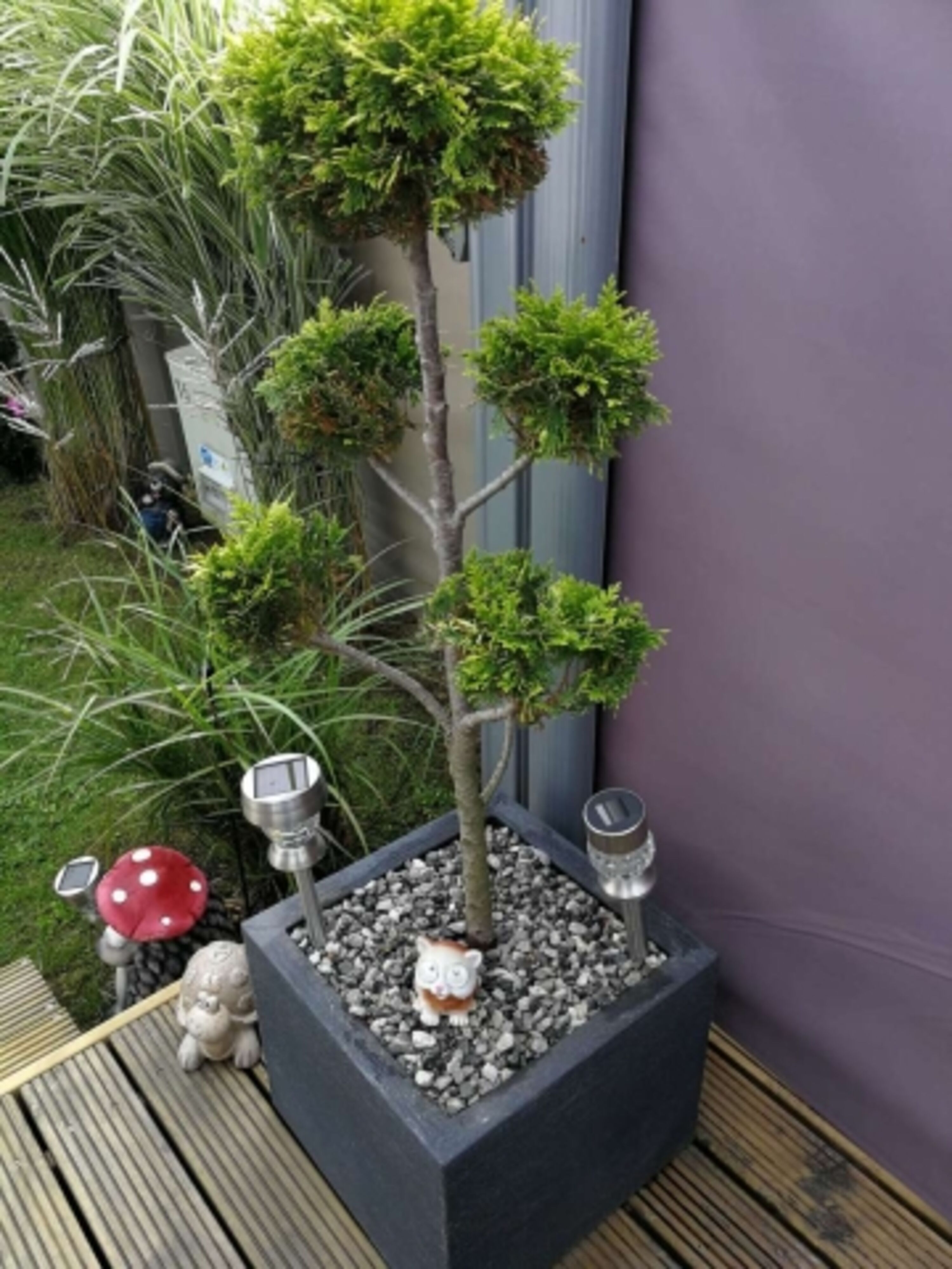 Bild 9