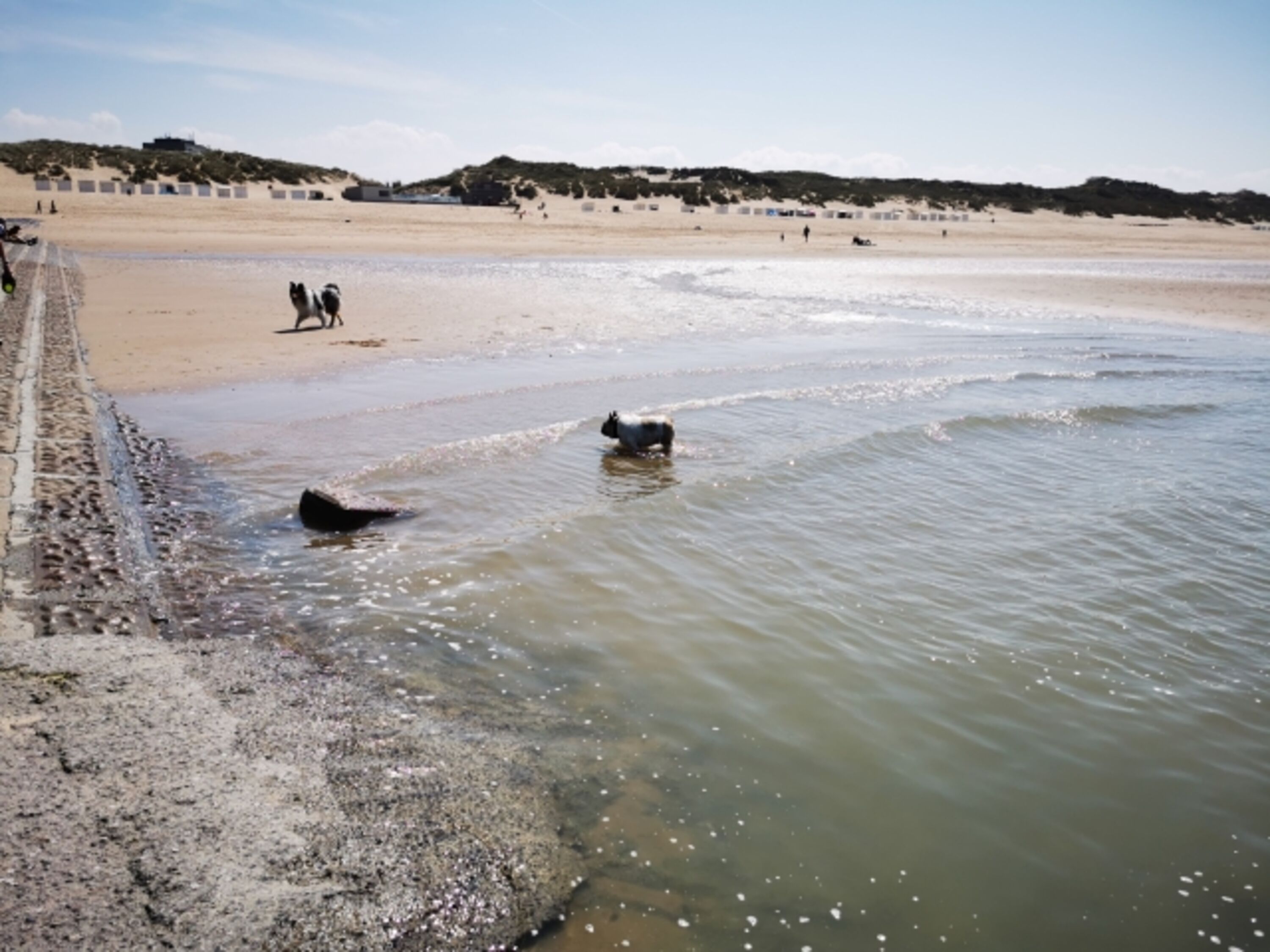 Bild 12