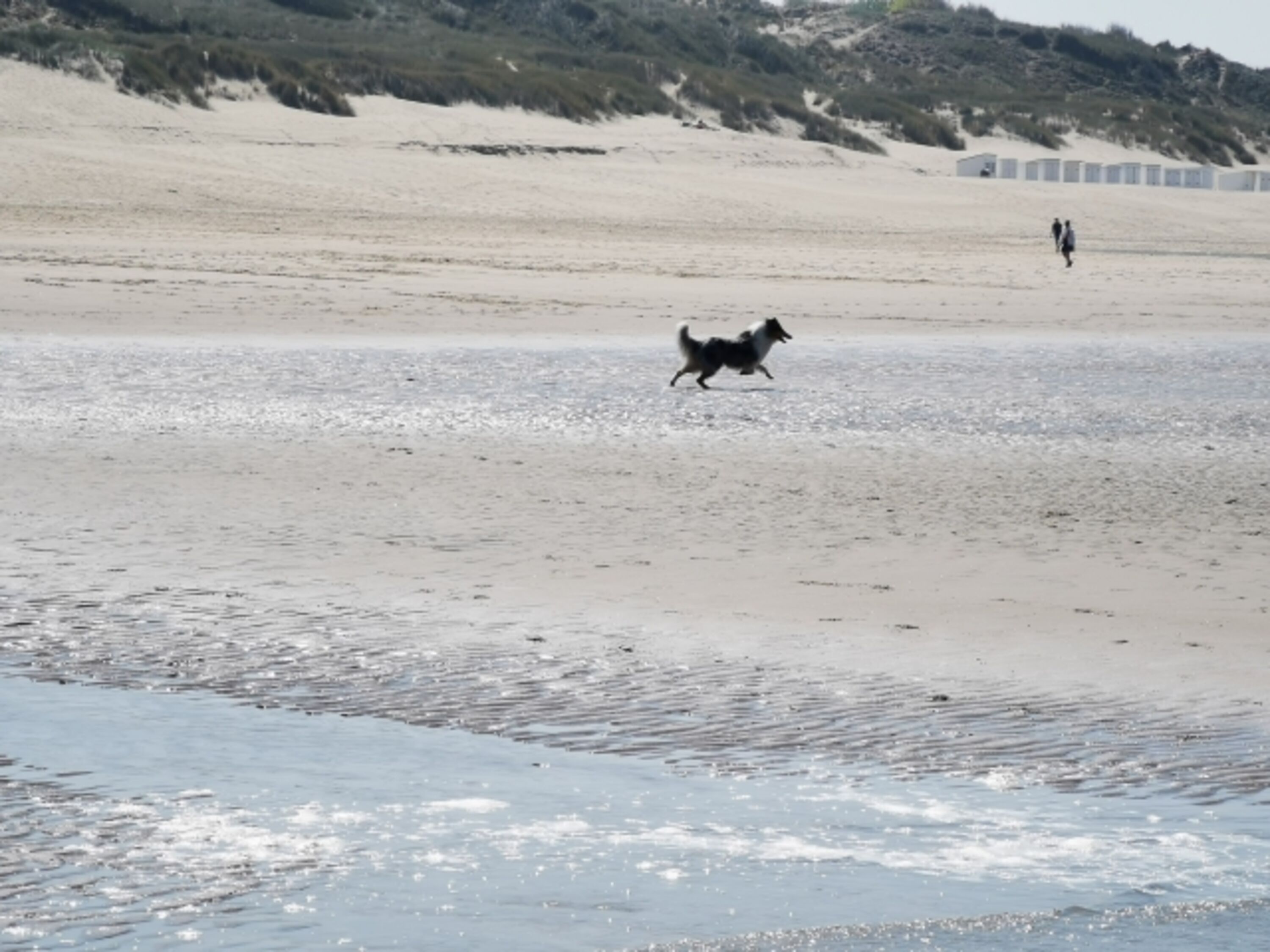 Bild 11