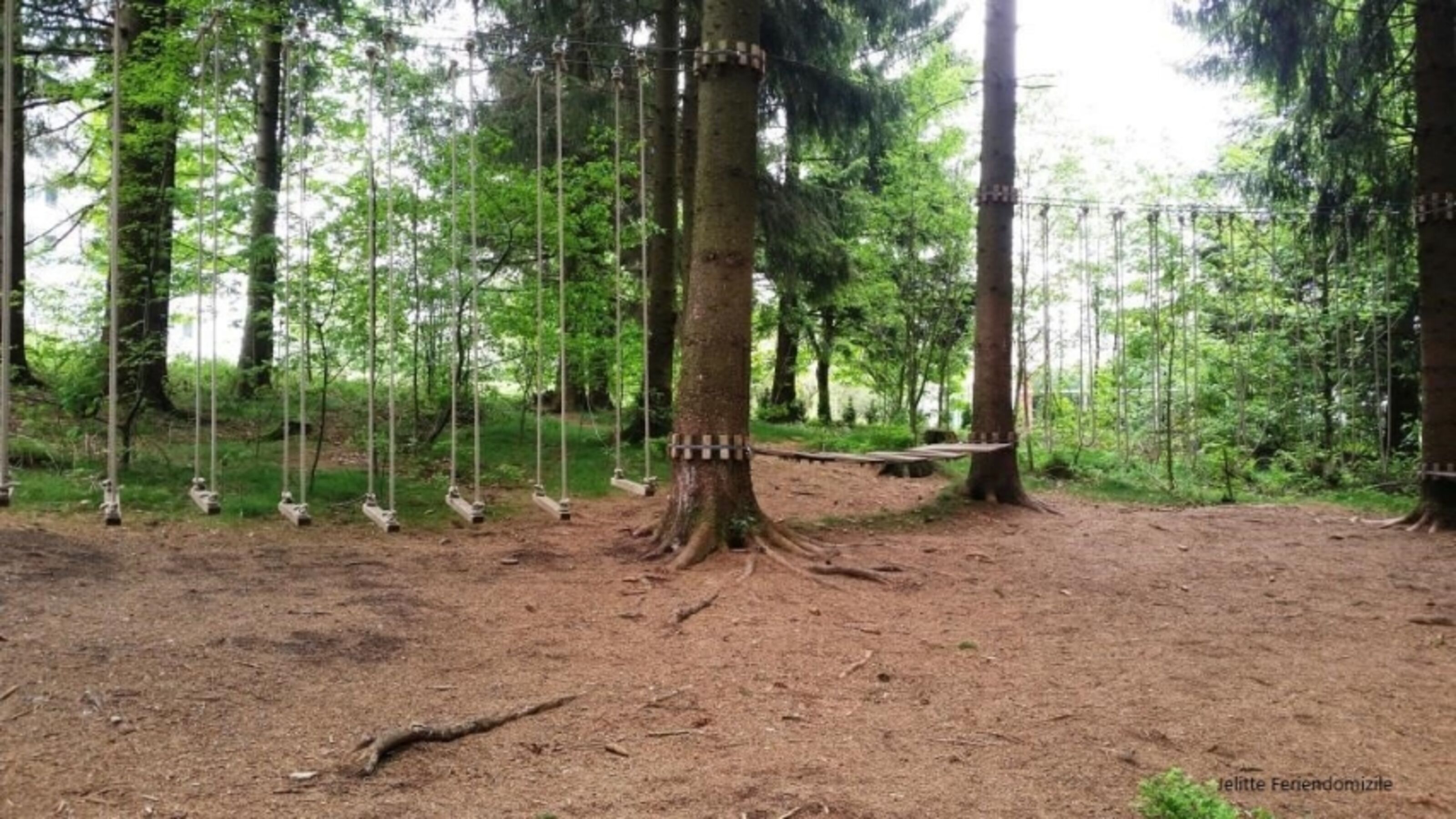 Kletterpark direkt bei der Wohnung