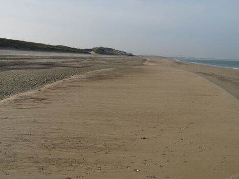 Hundestrand