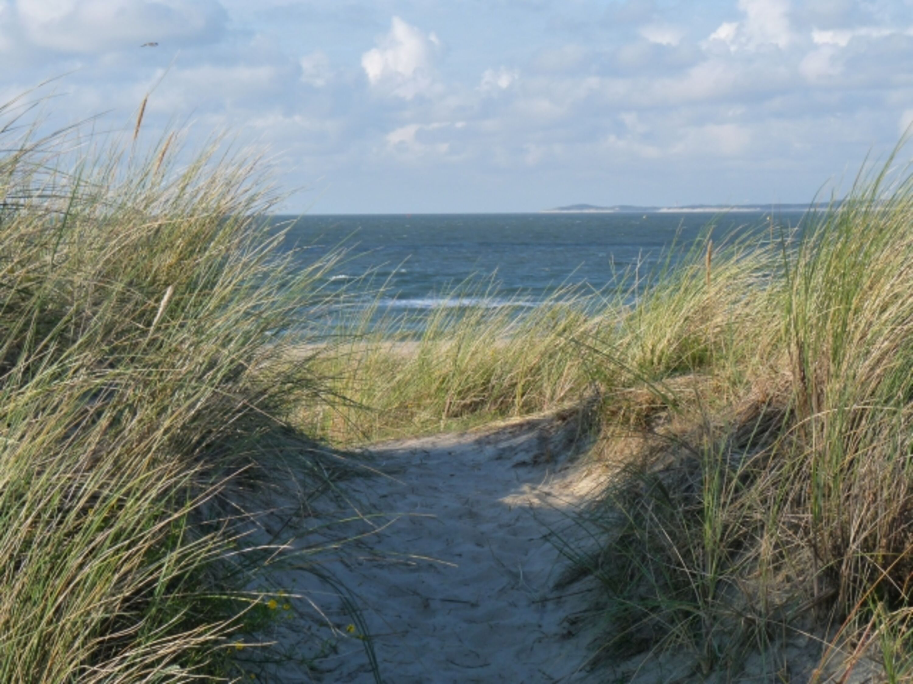 Blick auf Meer
